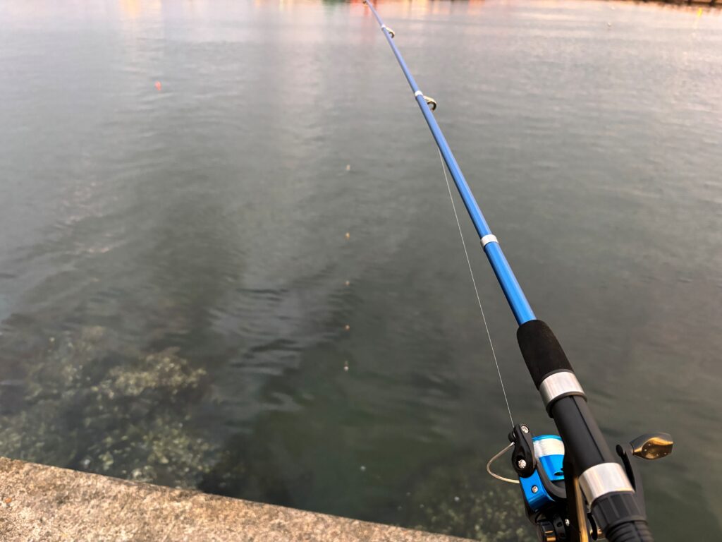 初めての釣り