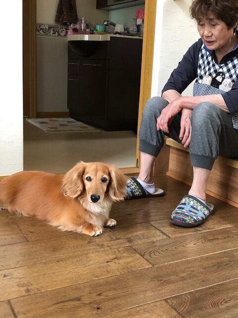 尊敬する人